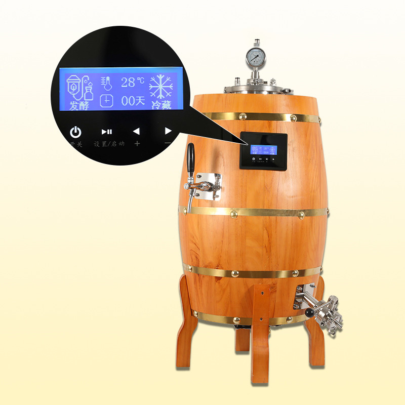WEMAC 30L DIY mini & small size home craft beer brewing machine 